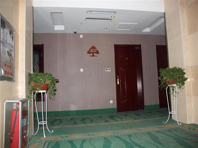 Greentree Inn Shandong Heze Cao County Qinghe Road Business Hotel Exterior foto
